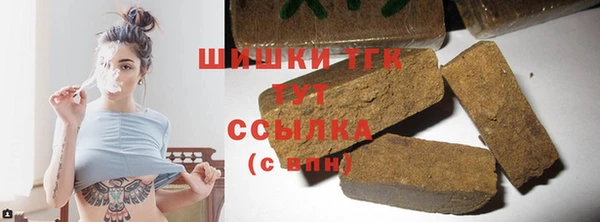 стаф Аркадак