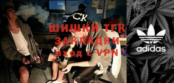 стаф Аркадак