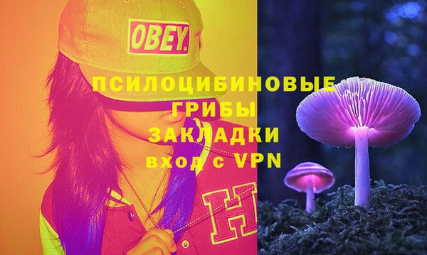 PSILOCYBIN Арсеньев