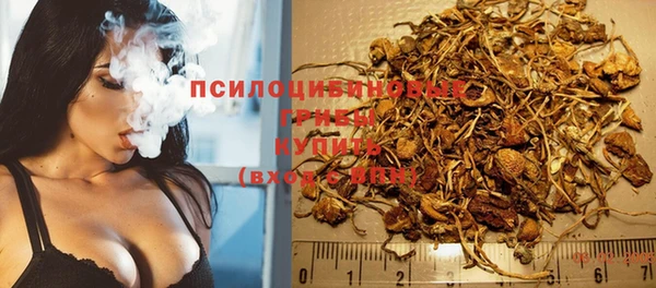 PSILOCYBIN Арсеньев