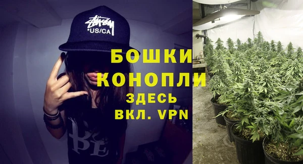 PSILOCYBIN Арсеньев