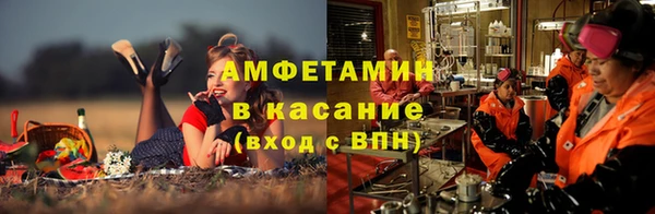 прущие грибы Армянск