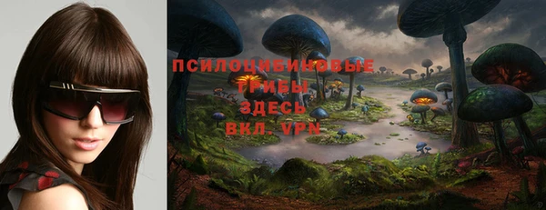 PSILOCYBIN Арсеньев
